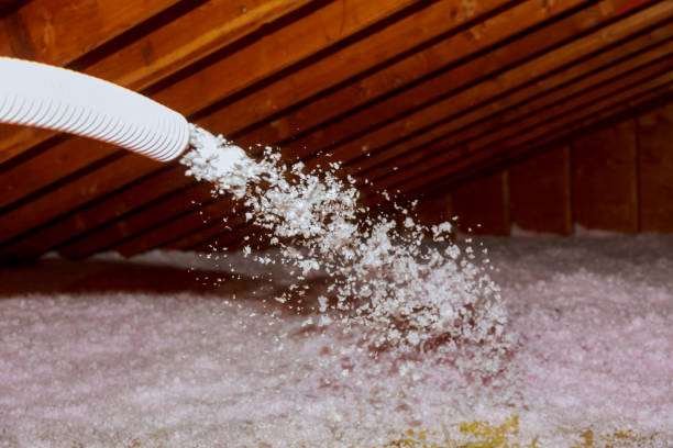 Best Professional Insulation Contractor  in Hondo, TX