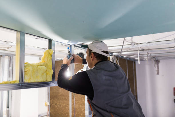 Best Insulation Contractors for Homes  in Hondo, TX