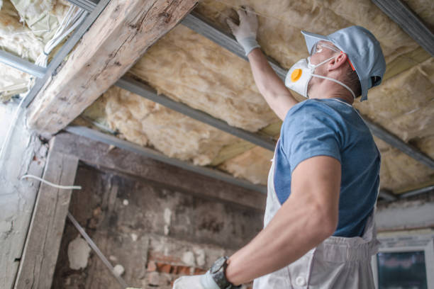 Best Home Insulation Services  in Hondo, TX