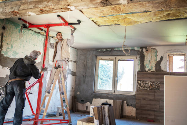 Best Spray Foam Insulation  in Hondo, TX