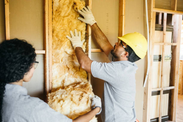 Best Blown-in Insulation  in Hondo, TX