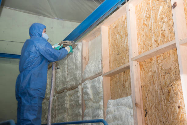 Best Soundproof Insulation Installation  in Hondo, TX