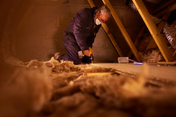 Best Crawl Space Insulation  in Hondo, TX